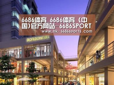 案例展示一(图1)